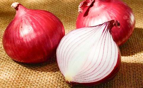 �����[�^�v�U(xi��n)ӛ���x��д�ȫ��15ƪ��