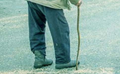 ���̵Č������� - �w�à�����������