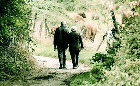 �����á��������ĺϼ�8ƪ