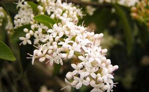 ҹ�������ġ��ϼ���