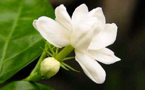 ҹ�������ģ���(y��u)�x15ƪ��