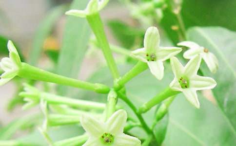 [��]ҹ��������