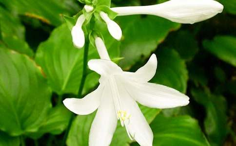 �����m����ҹ���㺆�V