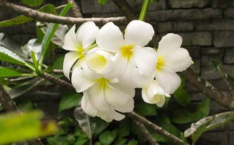 �P��ҹ������Bֳ����