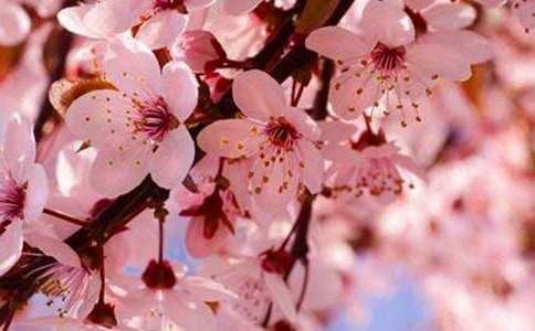 ���ѻ����x���