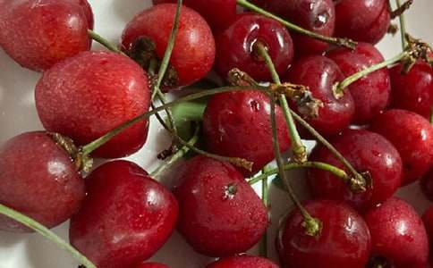 ���Ҙ����ġ���(y��u)��15ƪ��