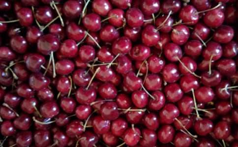 �x�����Ҙ�ȥɢ�����и�