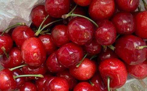 ժ��������(���\15ƪ)