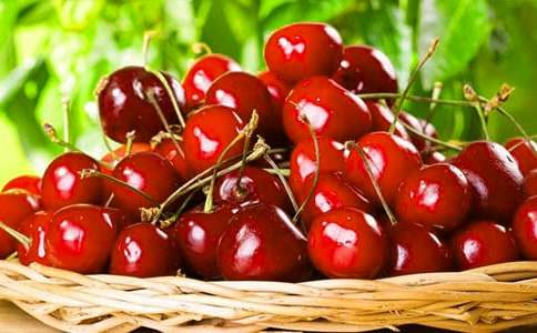 ժ��������15ƪ