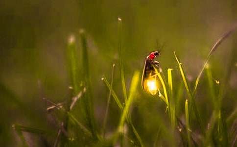 ׽Ξ���x���ġ��\��15ƪ��