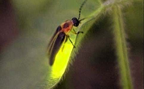 ����(y��u)�x��׽Ξ���x����27ƪ