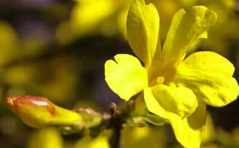 ӭ��������[��(y��u)]