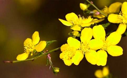 ӭ��������(�؂�)