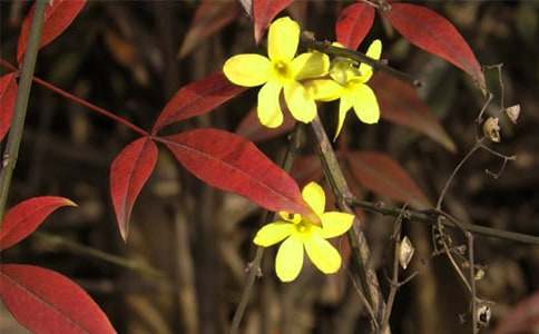 ӭ�������ġ���(sh��)�á�