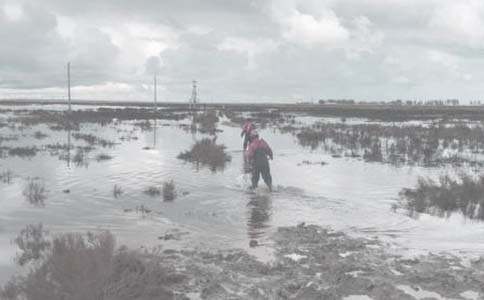 �|�������|�����F(tu��n)������ô�ӣ��������a(ch��n)������^�õĆ᣿