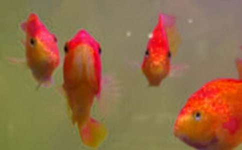 �~��ُ�N��ͬ15ƪ