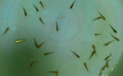 ����(y��u)�x���~��ُ�N��ͬ����