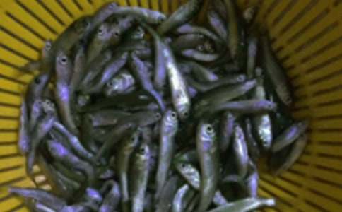 �~��ُ�N��ͬ����