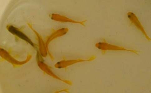 �~��ُ(g��u)�N��ͬ(15ƪ)