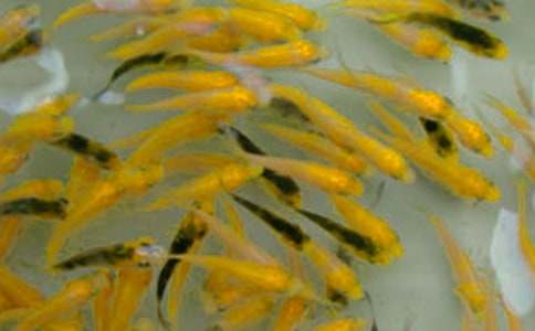 �~��ُ�N��ͬ��