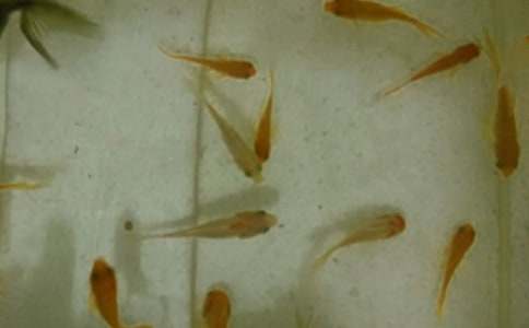 �~��ُ�N��ͬ