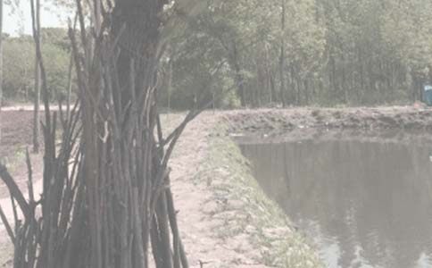 �~�����U��ͬ�R��(15ƪ)