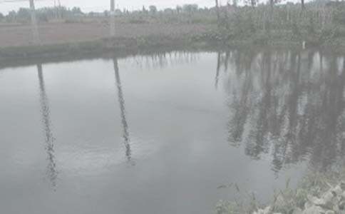 �~���а���ͬ����15ƪ