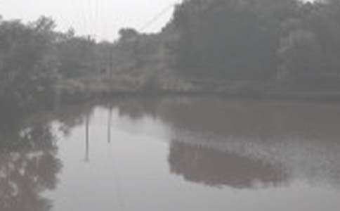 �r(n��ng)���~���а���ͬ