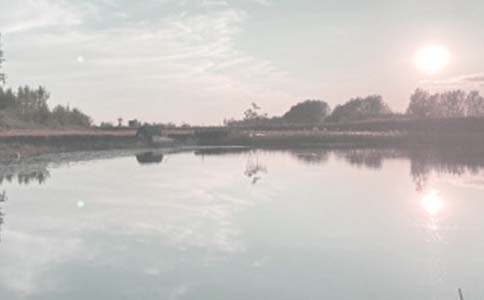 �~�����U��ͬ������15ƪ��