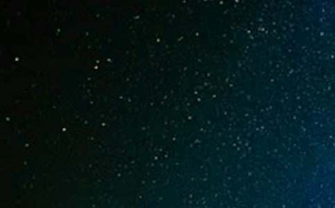 ̽����������