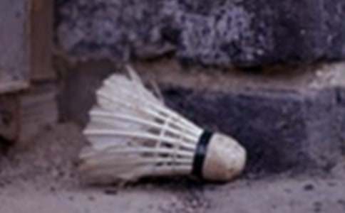 ��ϲ�g����ë�����ă�(y��u)�x[15ƪ]