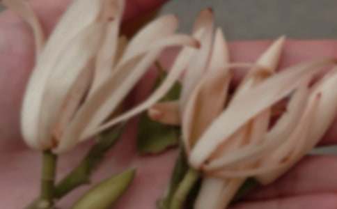 �����m��������