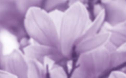 ���m���_����