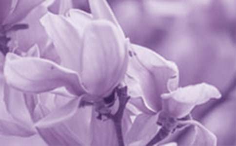 ���m�����Bֳ����