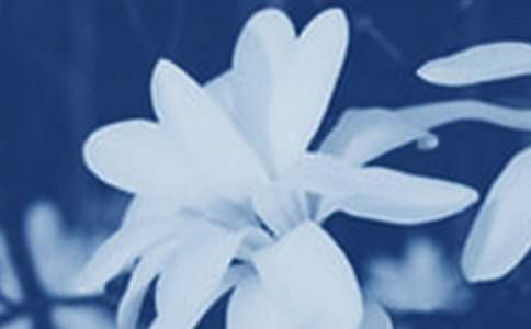 ���m������15ƪ