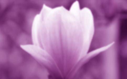 ��ϲ�g���m������