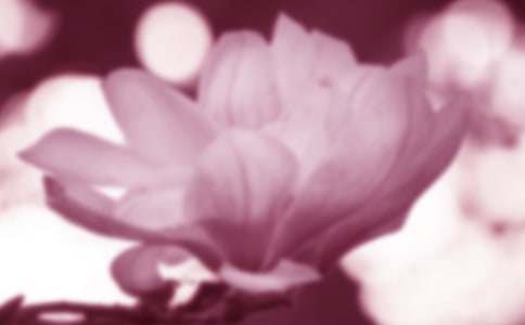 (��(sh��)��)���m��������