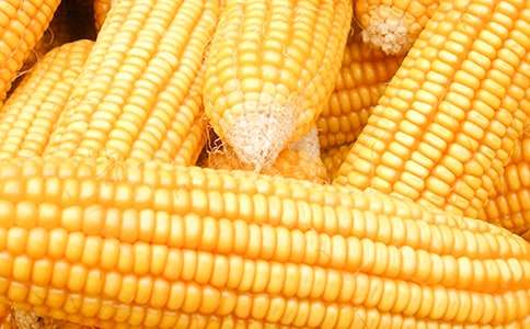 (��Ʒ)����������