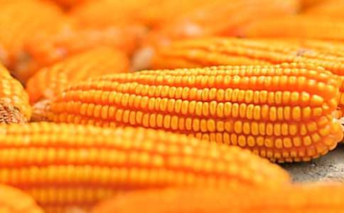 ����������15ƪ