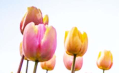 �����㺆�P���̌W