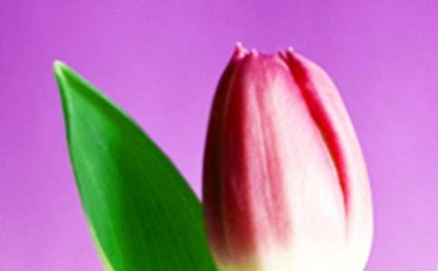 �����㻨������