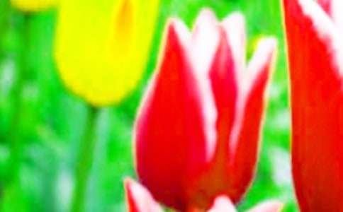 �������İ��̾�Ƀ�