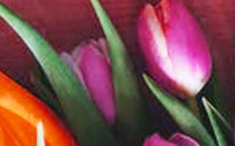 ���������ʲô��˼