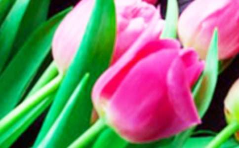 �P(gu��n)���������֮��̫�A���ι���