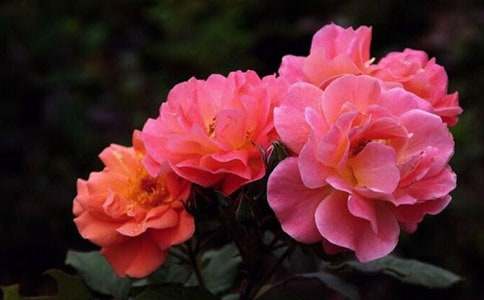 �P(gu��n)���¼�������