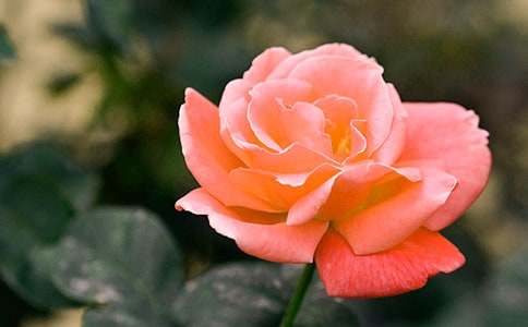 �P(gu��n)���¼���������