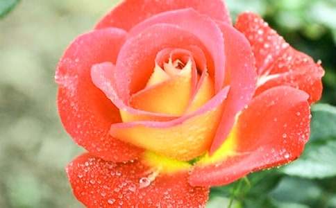 �¼�������(���x15ƪ)