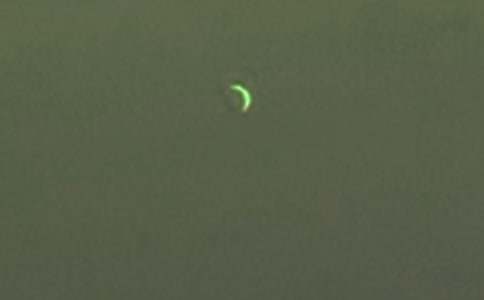 �茑�����ĬF(xi��n)��Ԋ