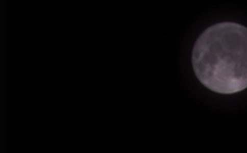 �����Aף���Z(y��)��ȫ