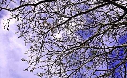 ����ů���簲���Z125�侫�x